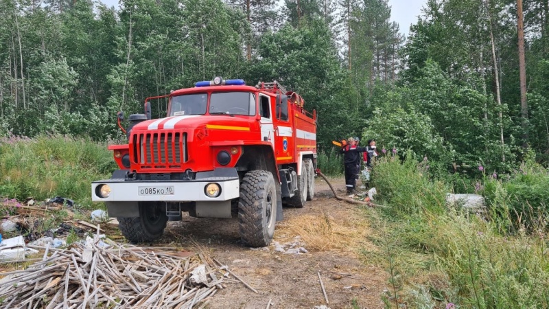 Работы по ликвидации лесного пожара в Суоярвском районе продолжаются